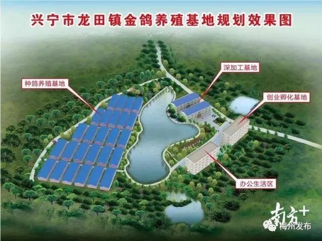 据悉,农业产业强镇建设主要包括5个方面:一是壮大农业主导产业;二是