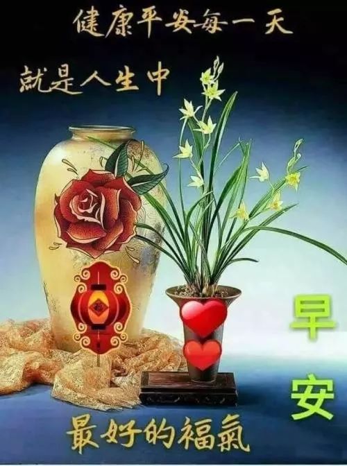 漂亮早安图片问候祝福语短信,早上好唯美动画祝福图片