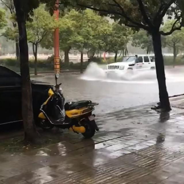 最美不是下雨天,而是这些雨中坚守的身影
