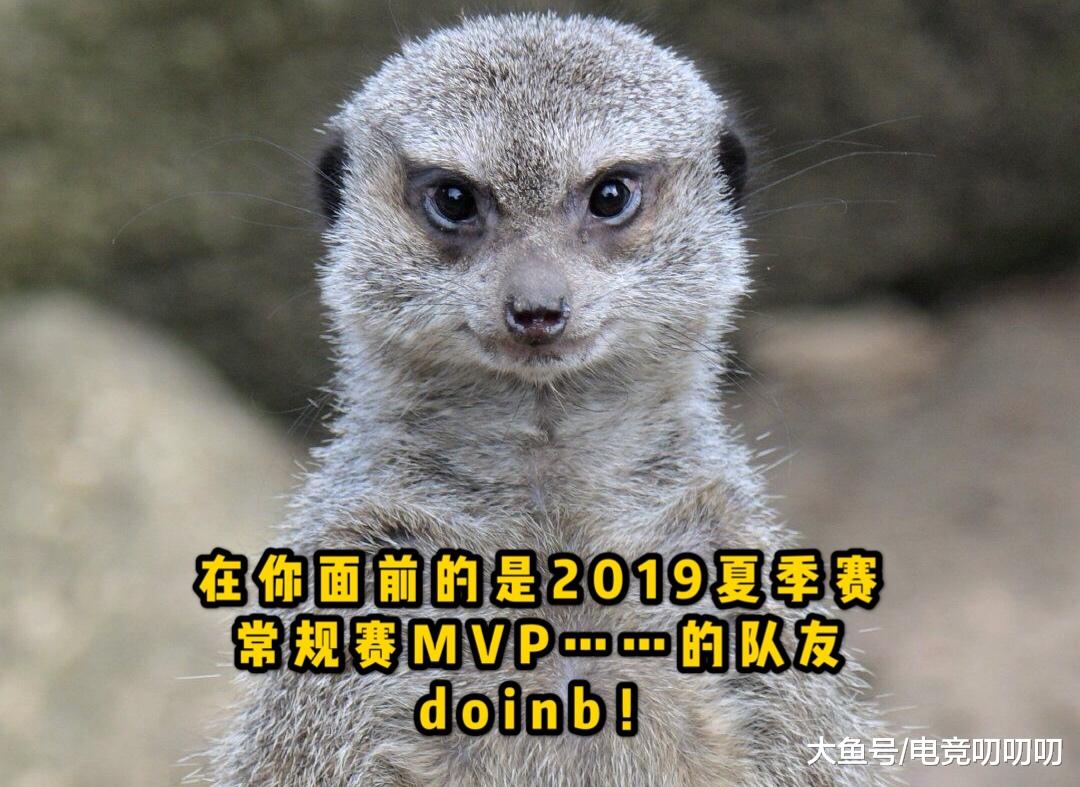 金贡mvp绝缘体?doinb上演lpl版狼来了 网友:灵车瑞兹复盘一下?