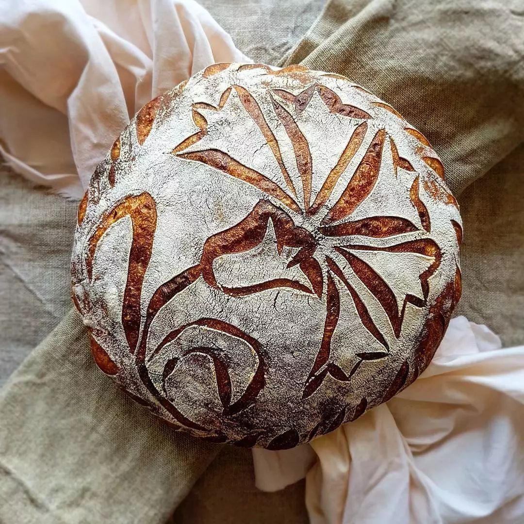 早安 | 不要苛求别人,不要埋怨自己。玫瑰有刺,