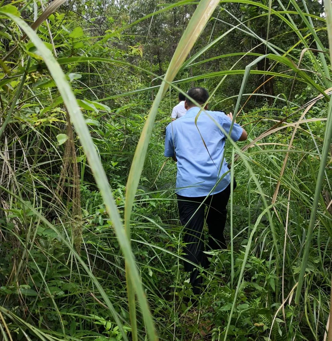 山况的村民作为向导,在村民的带领下携带开荒砍刀和救生装备进山营救