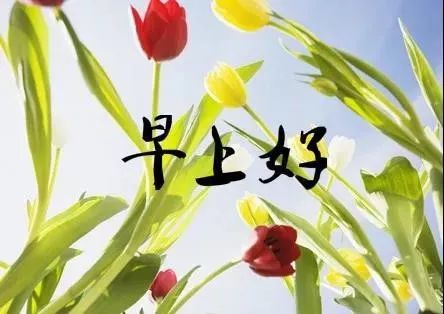 七月二十七日星期六早晨好阳光祝福语 早晨好问候语图片大全