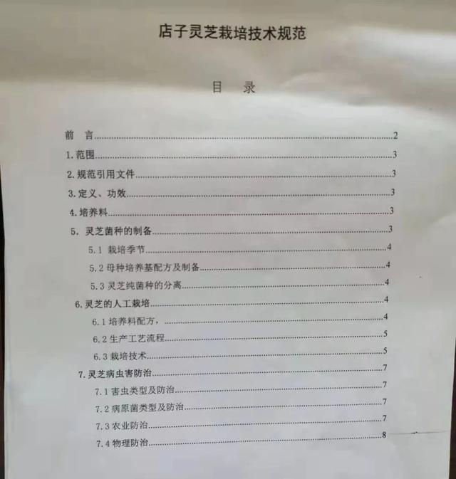 盛夏7月,冠县“店子灵芝”喜迎丰收季
