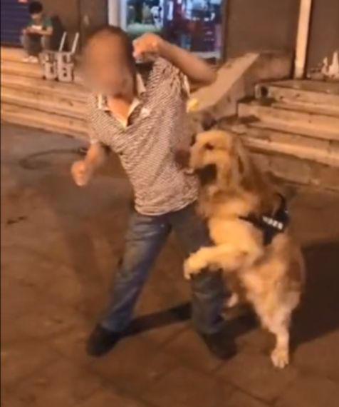 山西丨爱犬扑咬过路残疾人,男子不仅不阻止,还拍视频取乐!