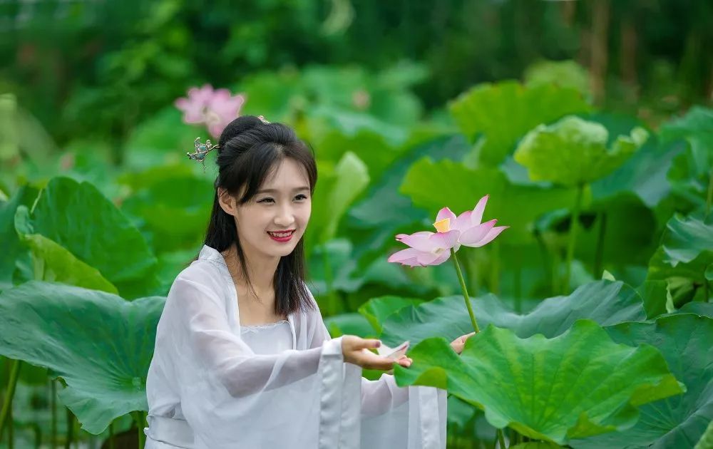 荷花美景就该去汉中这里周末赶快约起来吧