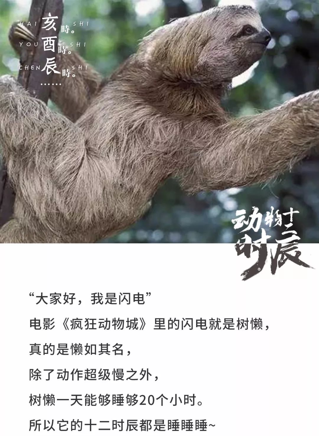 969ca6183a1e431b931633093236d12c.jpeg
