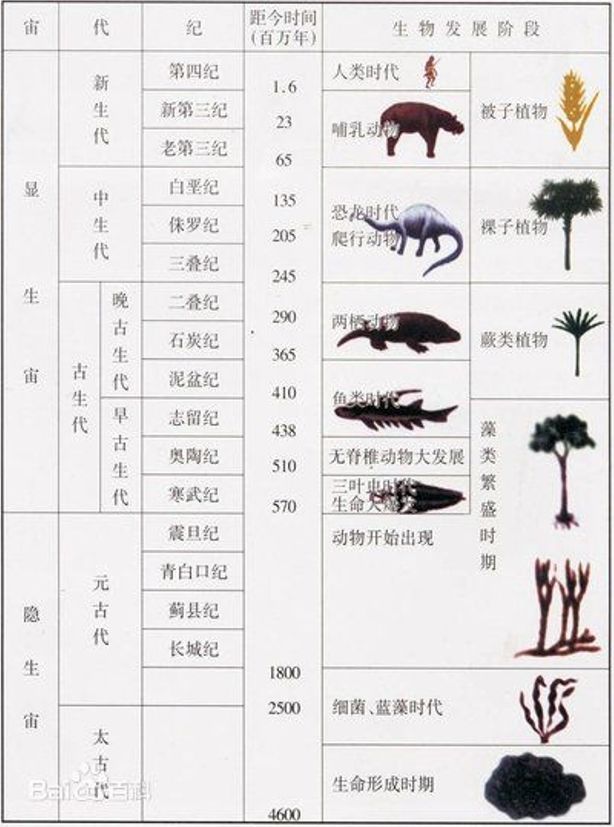 地质年代表