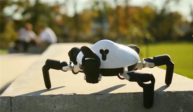 原创中国大学生发明世界首款智能蜘蛛机器人惊艳全球