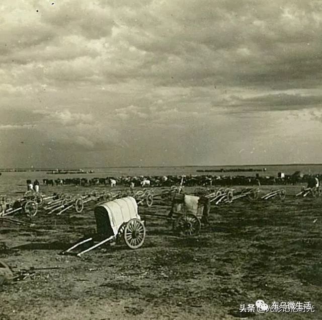 锡盟老照片1939年锡林郭勒盟额吉淖尔盐湖采盐