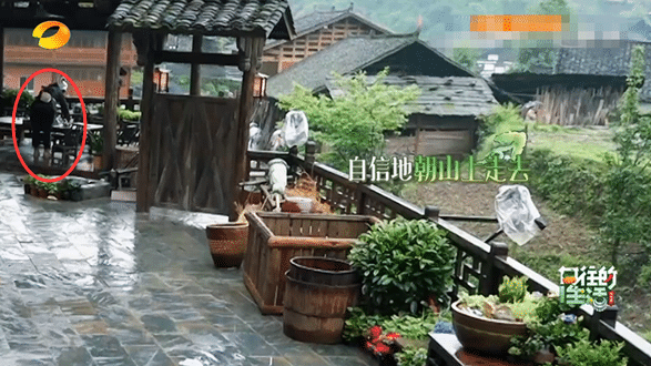 都在骂秦海璐情商低，殊不知，真人秀节目早已成为真人“秀”了