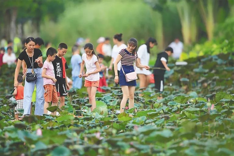 凤翔县gdp为什么这么高_十万个为什么手抄报(3)