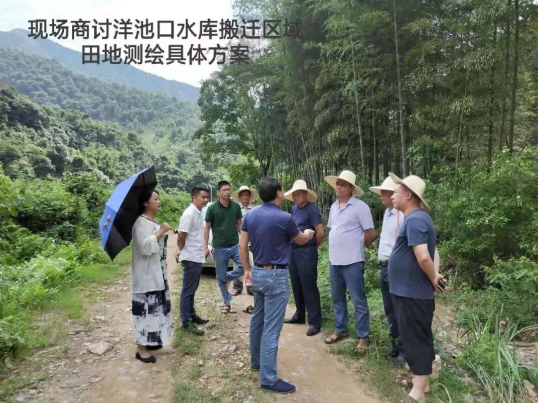 兴国洋池口水库征地项目有序推进 兴国县:特色产业助农增收