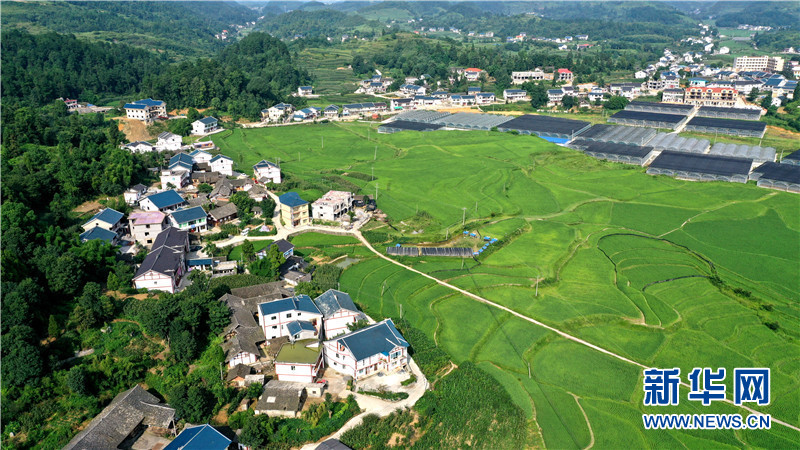 花茂村人口_花茂村