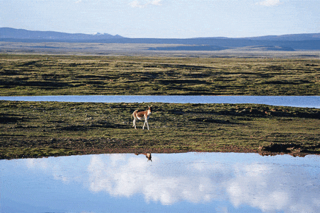 穿越中国vi · 1/3程汇报#抵达重要节点格尔木,我们将衣贩向前