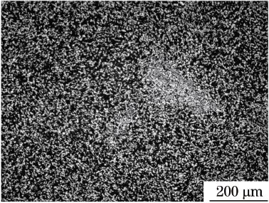 偏析区显微组织形貌