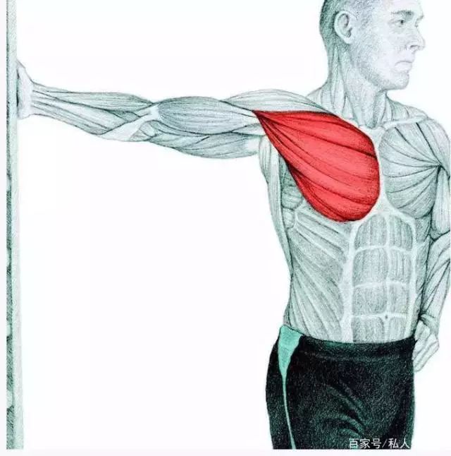 怎么把胸肌练好?热身和拉伸很重要,6个训练动