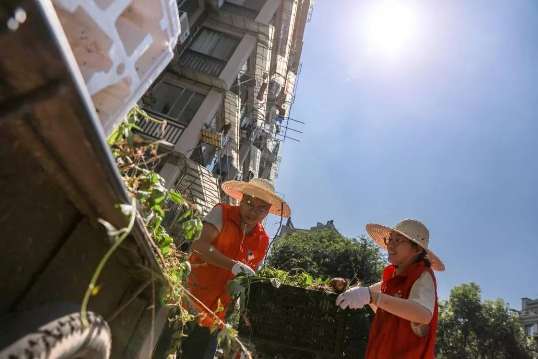 柯城区花园街道紫荆丽江城,志愿者们顶着烈日进行小区环境整治,草帽的