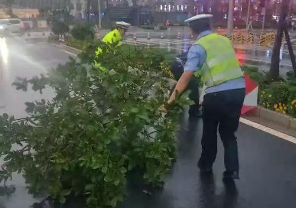 最美不是下雨天,而是这些雨中坚守的身影