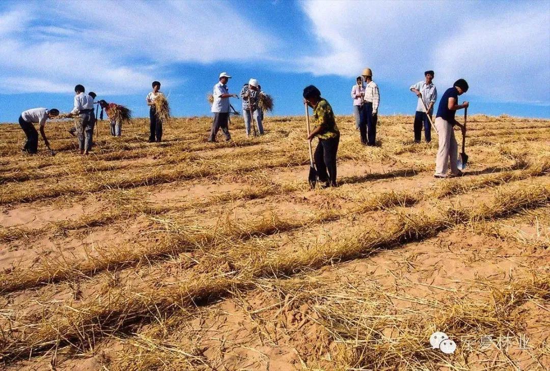 知识科普|如果没有贺兰山，“塞上江南”将会怎么样？| 中国自驾地理