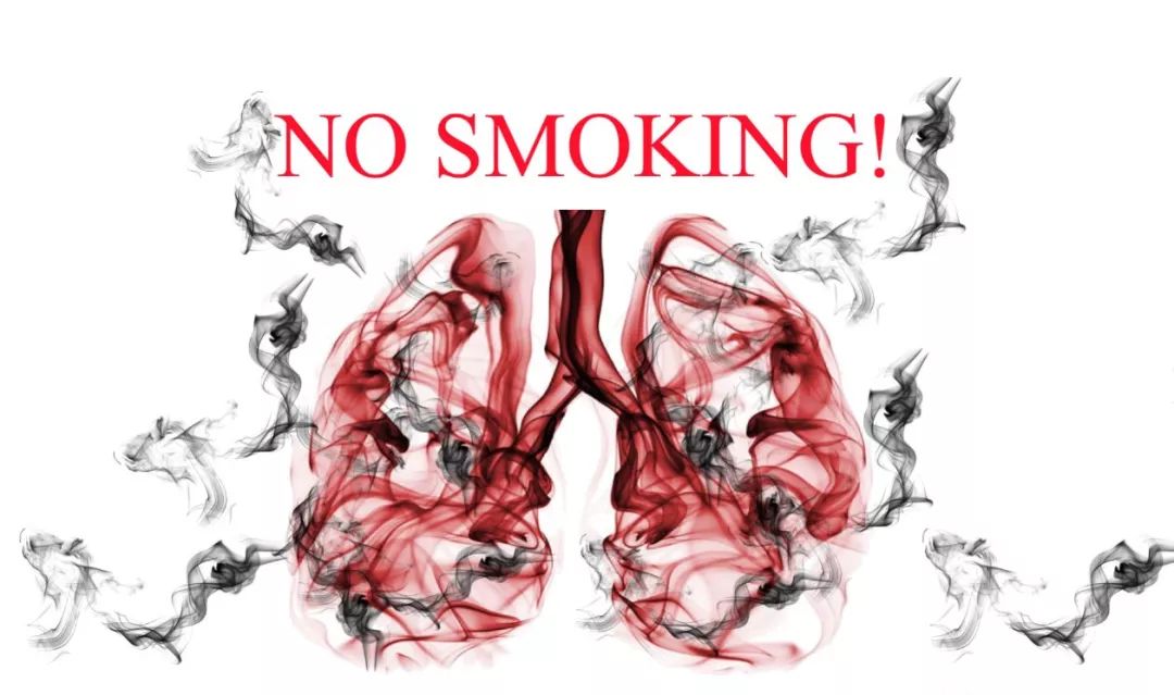 看看吸烟者的肺,让你发抖!马上戒烟吧!没有健康观念的