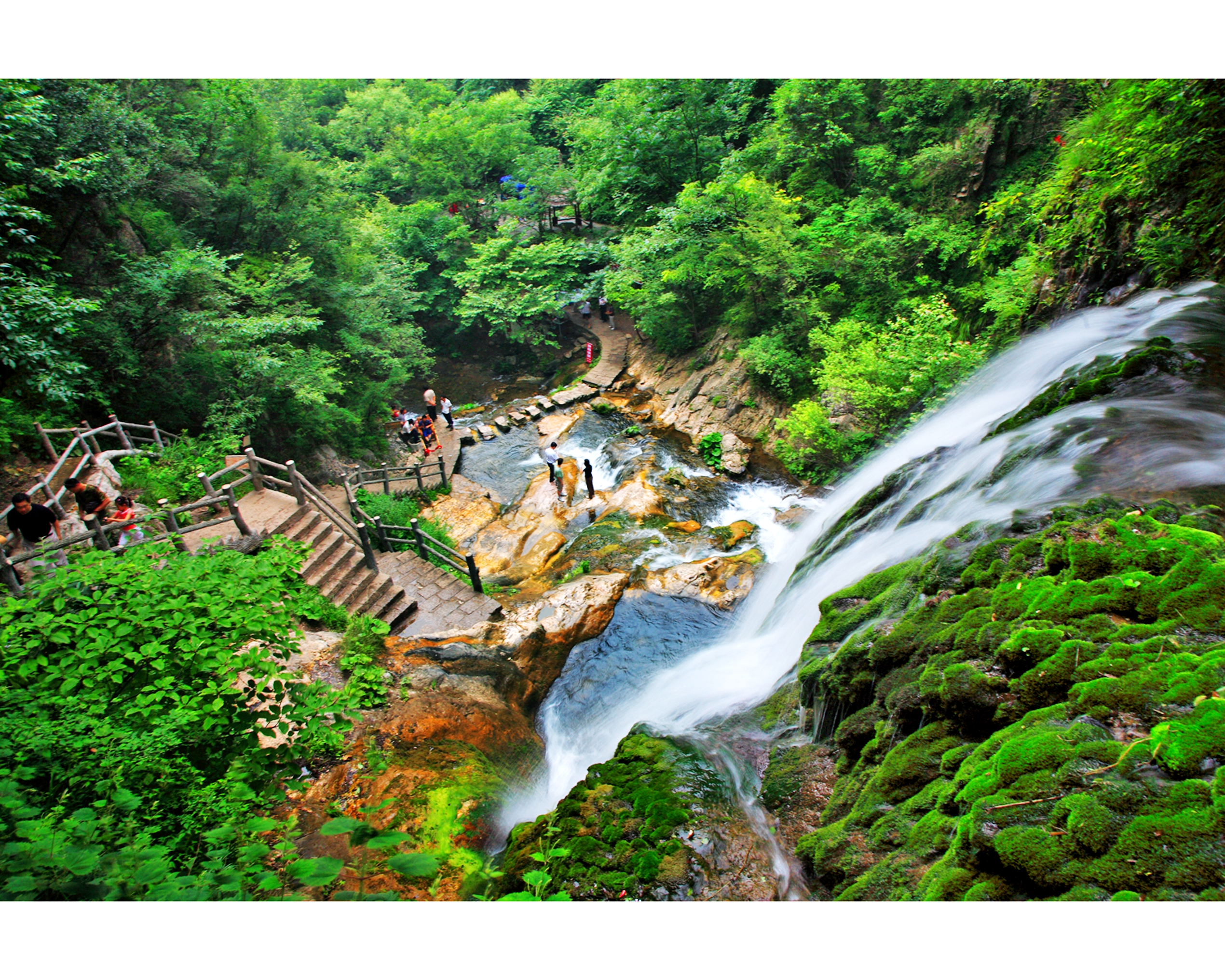 这个暑假,重渡沟景区携手统一绿茶,将在景区内菩提树附近,以"亲近自然