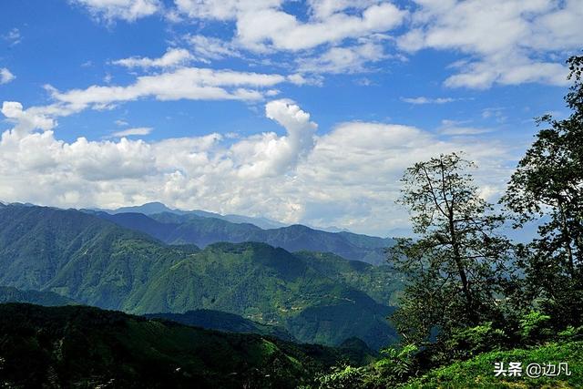 高黎贡山,怒江百鸟谷云端鸟巢