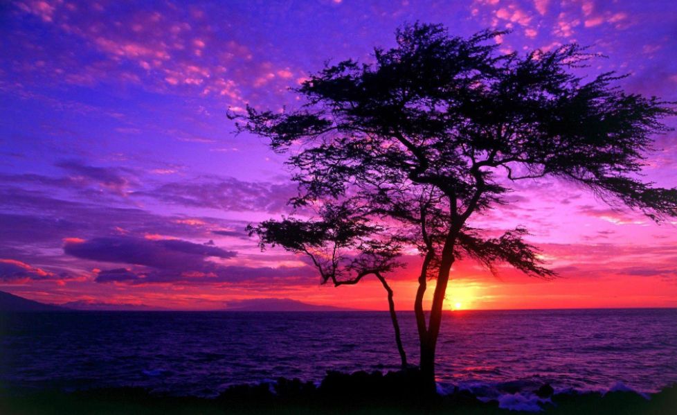  Sunsets they