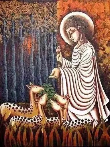 慈悲包含了一切功德和福报,只是你不知道!