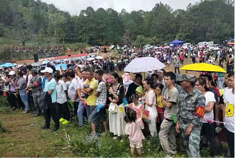 昨天啊喇乡沸腾了现场图来袭火速围观