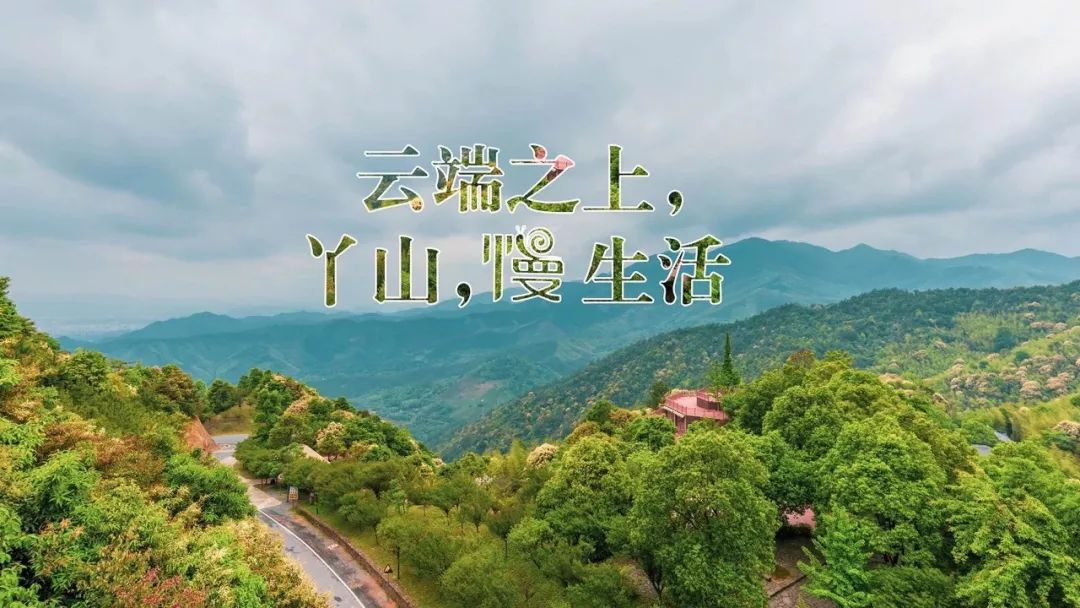 自驾游招募菲凡推荐与友同行暑期独享神奇大余丫山清凉之旅