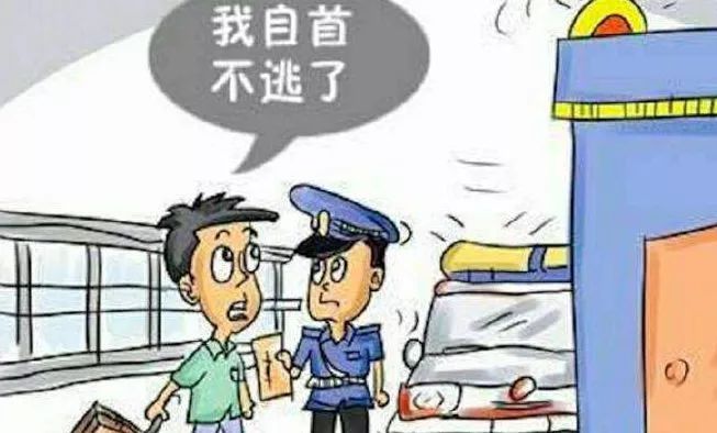 潜逃19年后落网!我市北二路交通肇事亡人逃犯投案自首