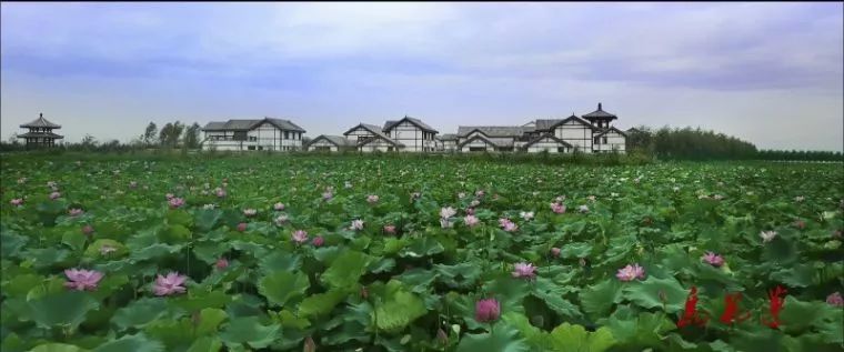 莲花县有多少人口_栩栩如生神像山 一县一品公益助农,广东陆河特色农产品青