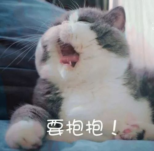 56ce9526430e476c8ff2474c002ef716.jpeg