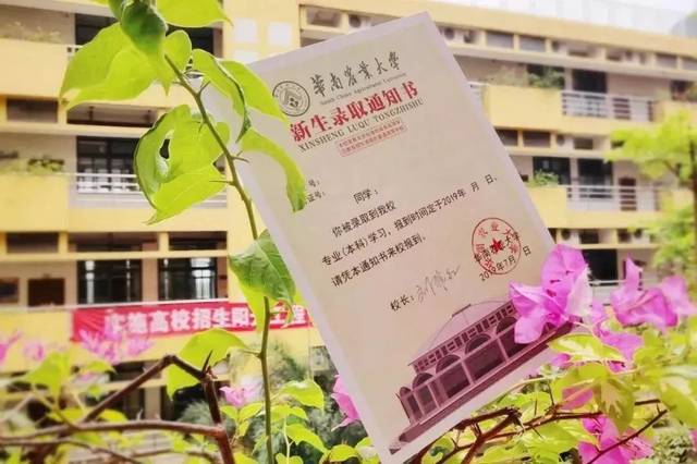 新生大礼包内含录取通知书,新生入学指南,国家资助,大学生