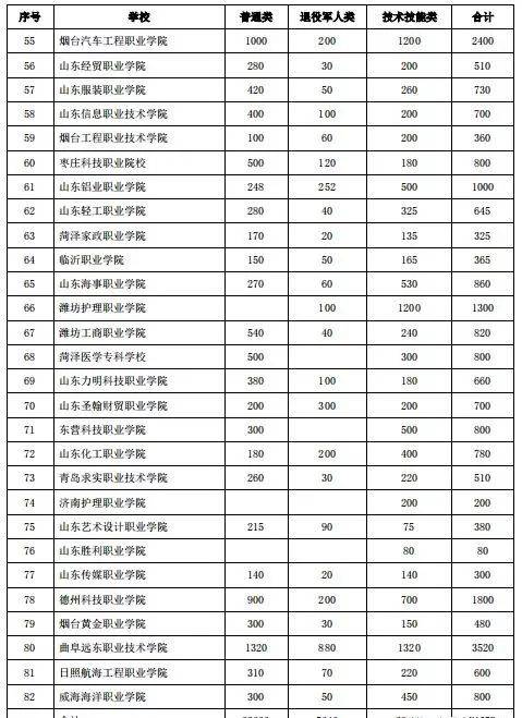 山东工程职业技术大学,山东外国语职业技术学院,山东外事职业大学