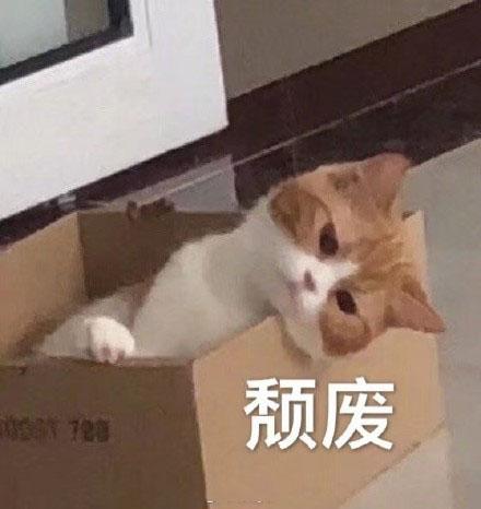 猫咪表情包合集呜呜呜这是什么人间疾苦