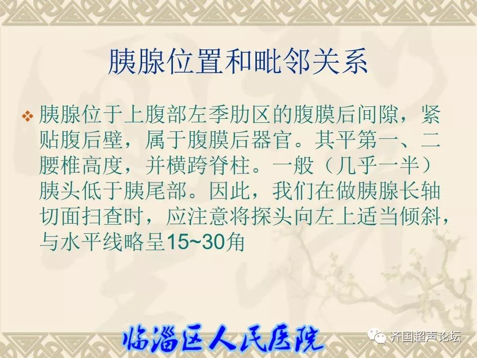 临医超声学堂胰腺的解剖