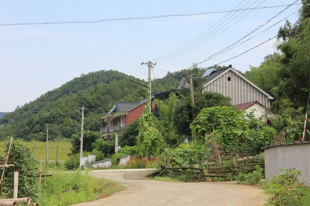 大比武永昌镇7月村庄环境卫生比武榜单出炉