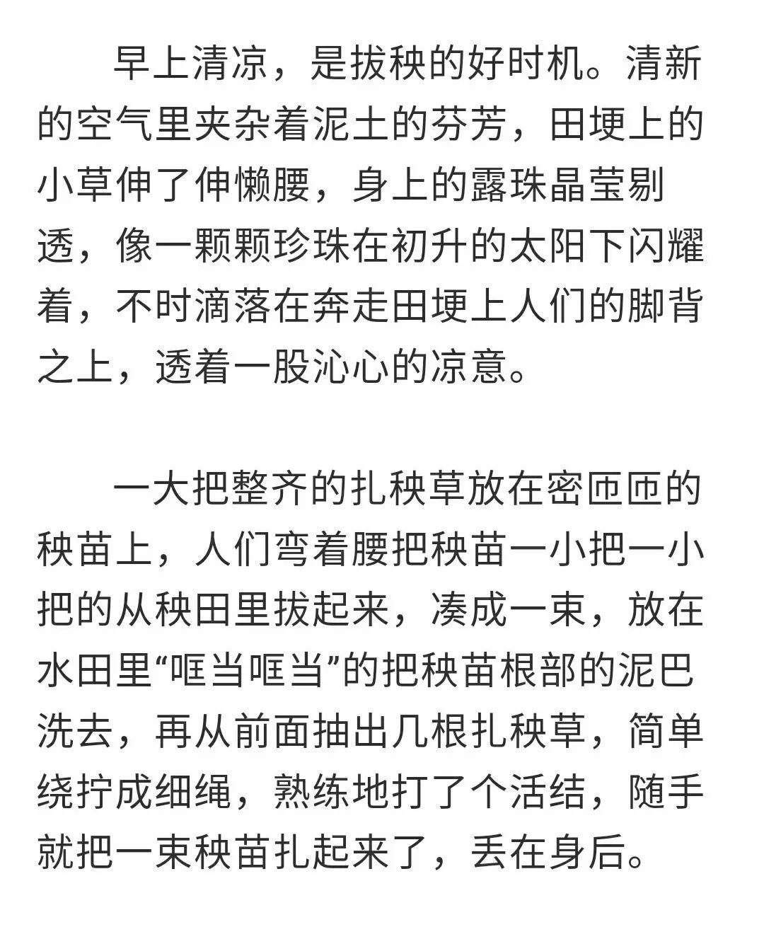 什么若谷成语_成语故事图片(2)