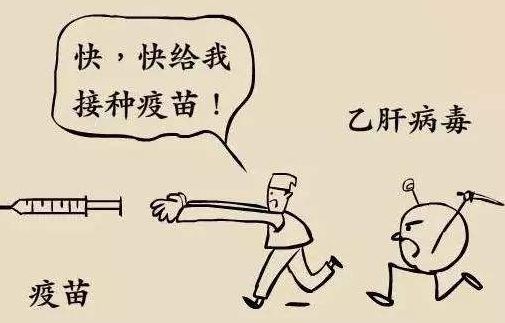 接种乙肝疫苗控制乙肝病毒传播