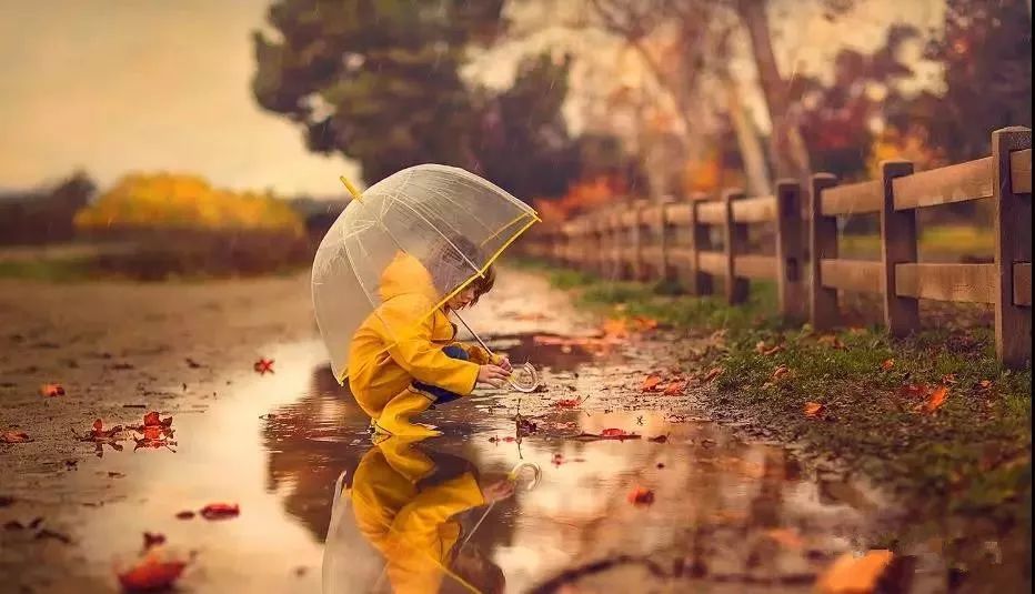 《镜子的法则》---解决人生一切烦恼的智慧