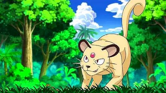 神奇宝贝喵喵怪原来不仅可进化成猫老大大脸猫也是战斗的担当