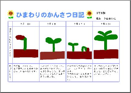 暑假玩儿出花——日本小学生的观察日记&自由研究