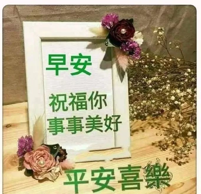 最美的早安祝福问候语动态美图,最新版的早上好祝福送