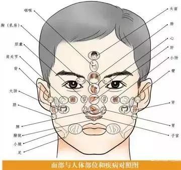 面诊,眼诊,鼻诊,耳诊,唇诊,舌诊,齿诊图都收集齐了