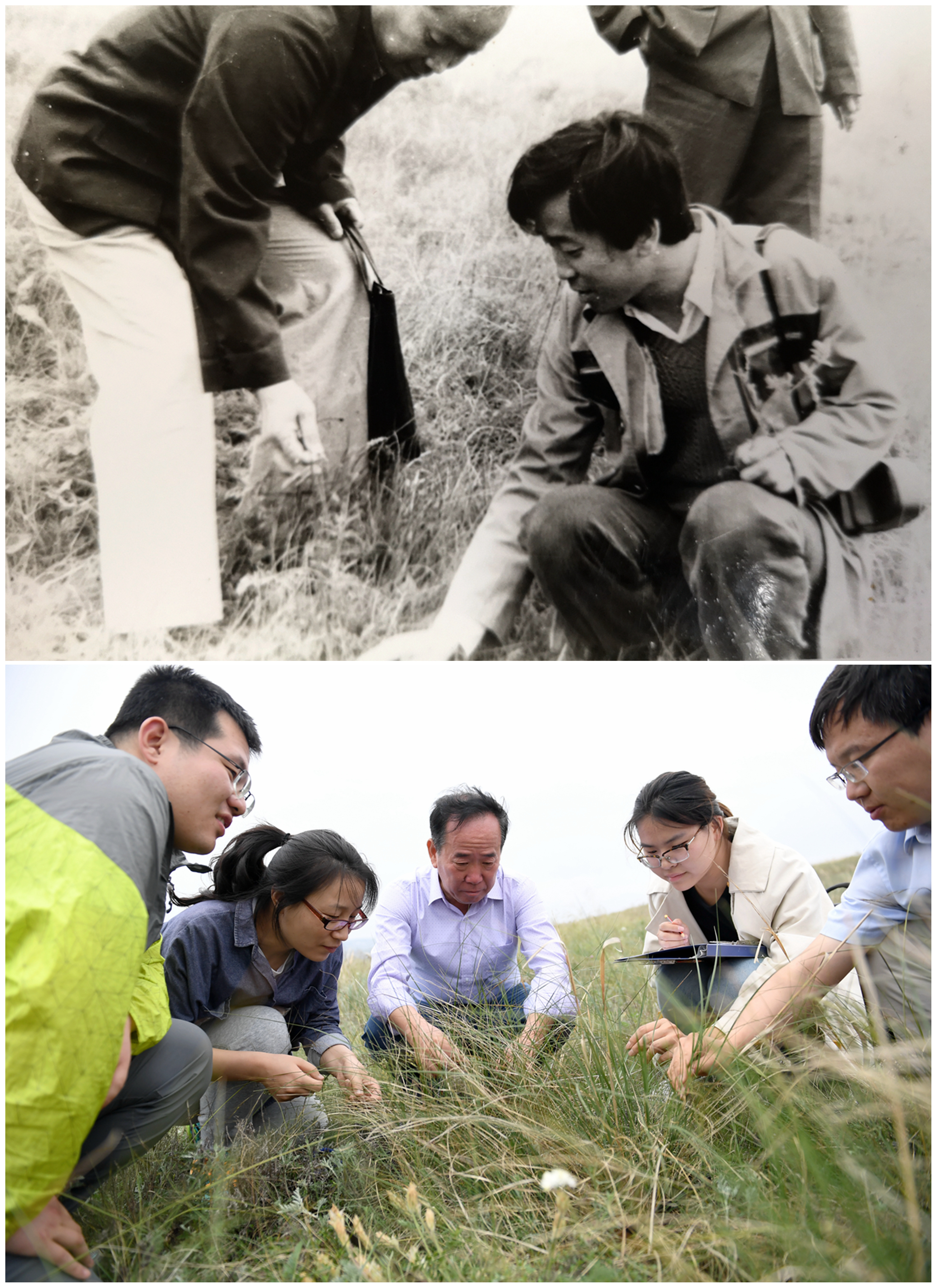 白发换青山 花甲槿正荣—农业科学家程积民扎根宁夏固原40年守望"