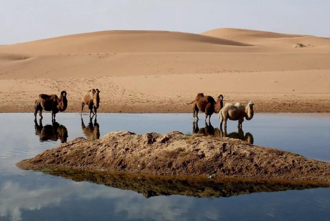 知识科普|如果没有贺兰山，“塞上江南”将会怎么样？| 中国自驾地理