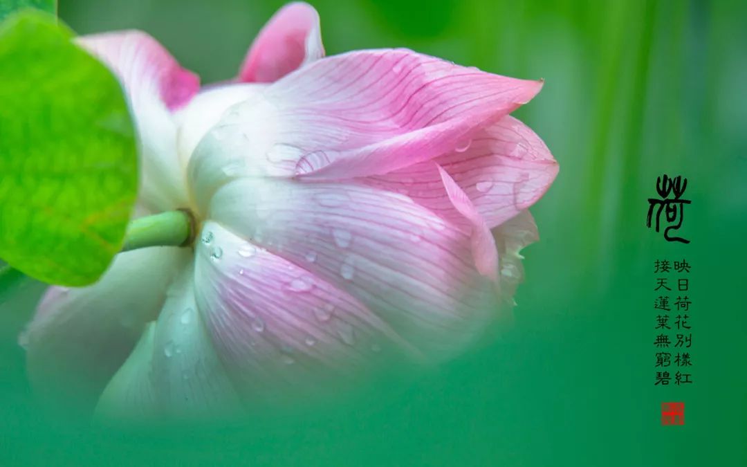 万般皆苦,唯有自渡