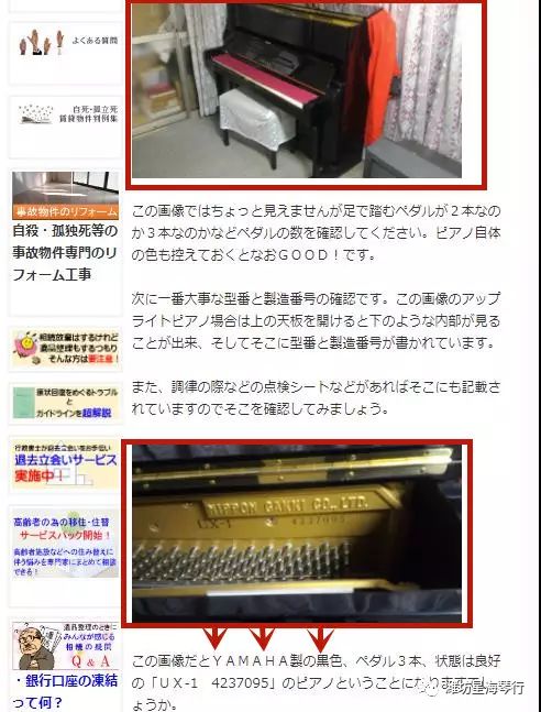 文章配图-5